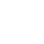 singulares